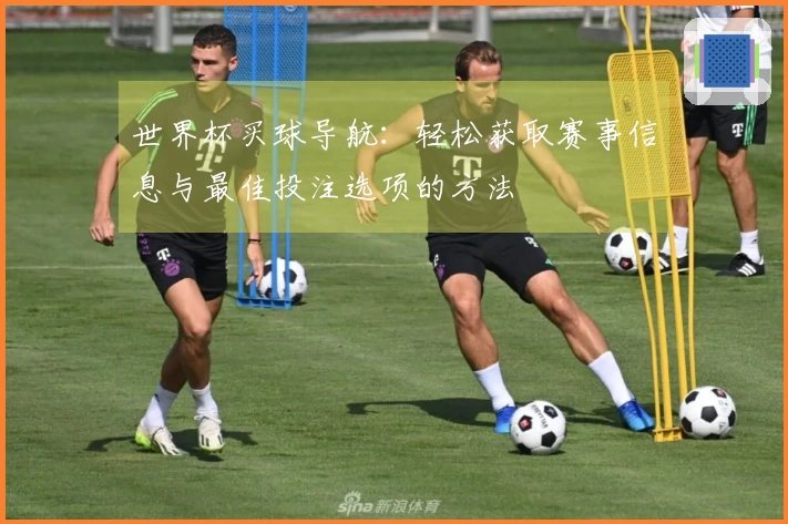 世界杯买球导航：轻松获取赛事信息与最佳投注选项的方法