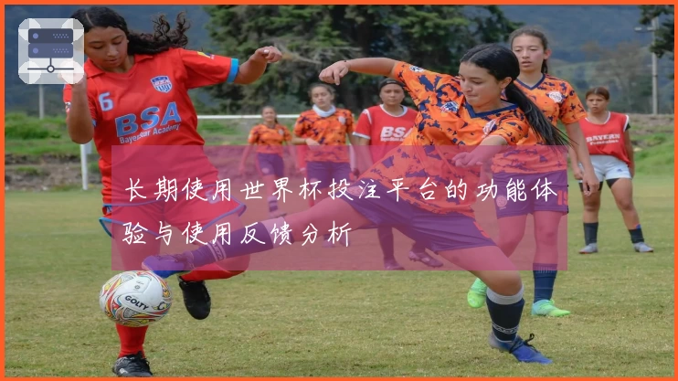 长期使用世界杯投注平台的功能体验与使用反馈分析