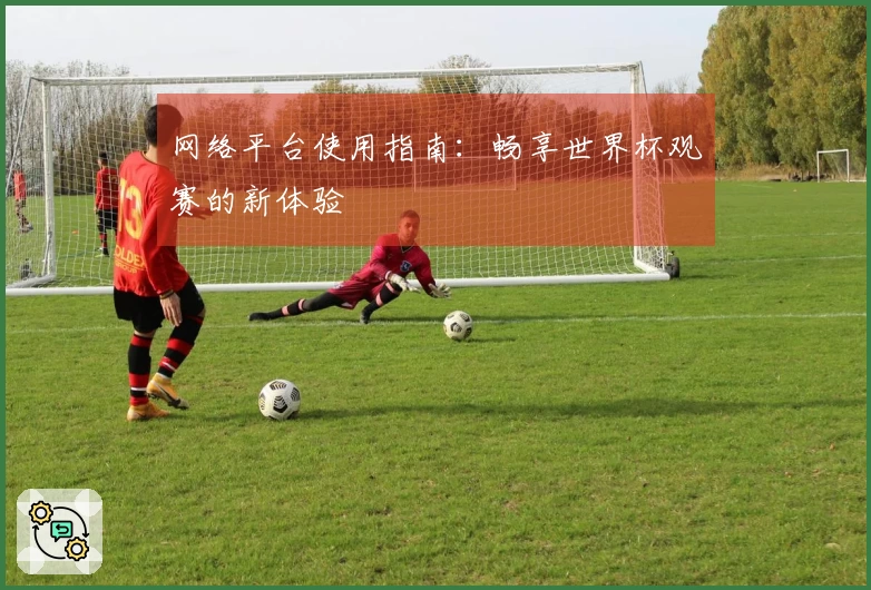网络平台使用指南：畅享世界杯观赛的新体验